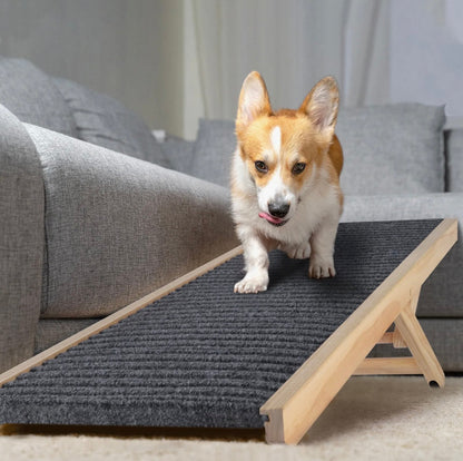 Portable Dog Ramp